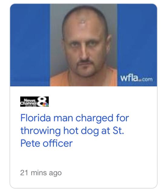 headline: Florida Man charged for throwing hot dog at St. Pete officer